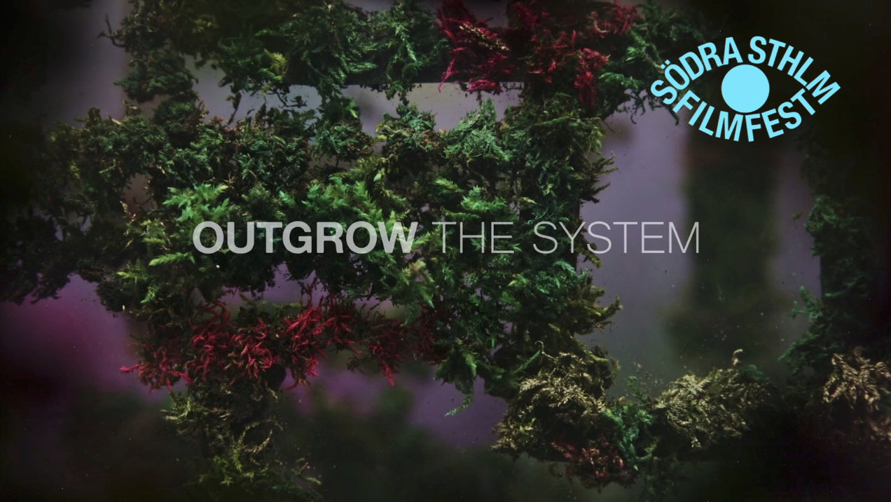 Outgrow the system + samtal!